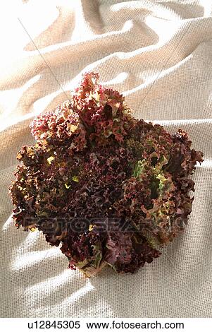 Stock Photography - Brown, Close-Up, Day, Eatable, Edible. Fotosearch