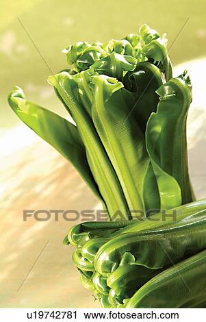 Stock Image - Bunch, Close-Up, Eatable, Edible, Food. Fotosearch