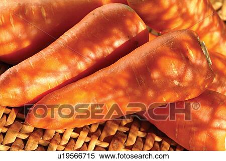 Stock Photography - Carrot, Close-Up, Day, Eatable, Edible. Fotosearch