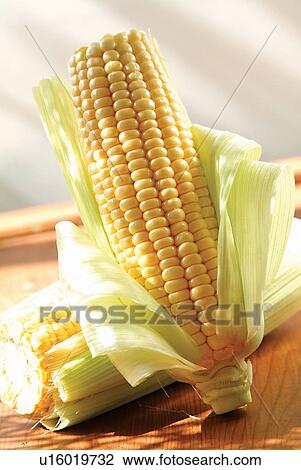 Close-Up, Corn, Eatable, Edible, Food View Large Photo Image Stock Image - Close-Up, Corn, Eatable, Edible, Food. Fotosearch