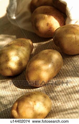 Close-Up, Day, Eatable, Edible, Food View Large Photo Image Picture - Close-Up, Day, Eatable, Edible, Food. Fotosearch