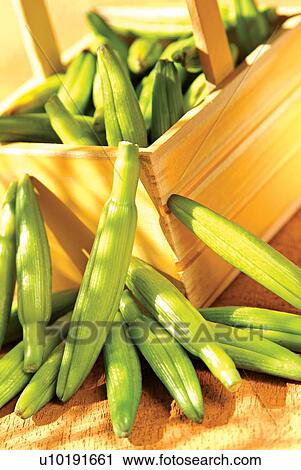 Stock Image - Close-Up, Eatable, Edible, Food. Fotosearch