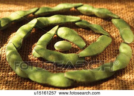 Close-Up, Sunlight, Sack, Pea Pod, Fresh View Large Photo Image Stock Photo - Close-Up, Sunlight, Sack, Pea Pod, Fresh. Fotosearch