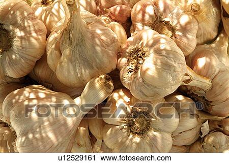 Day, Food, Translucent, Eatable, Heap, Full Frame View Large Photo Image Stock Image - Day, Food, Translucent, Eatable, Heap, Full Frame. Fotosearch