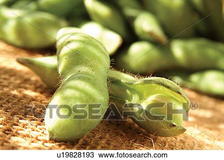 Stock Image - Edible, Food, Close-Up, Group Of Objects, Pea Pod. Fotosearch