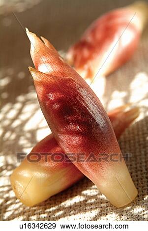 Stock Photo - Food And Drink, Sunlight, Fresh, Three Objects, Outdoor, Freshness. Fotosearch