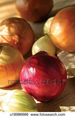Stock Photograph - Food, Eatable, Group Of Objects, Shadow, Healthy Eating, Food And Drink. Fotosearch