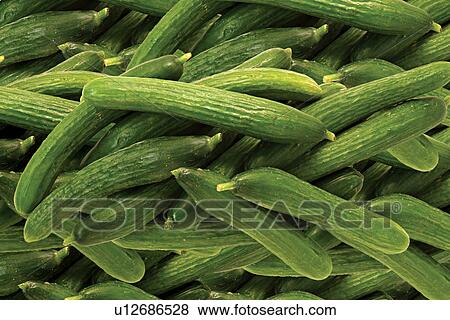 Stock Photo - Food, Vegetables, Still Life, Edible, Green, Gourd. Fotosearch