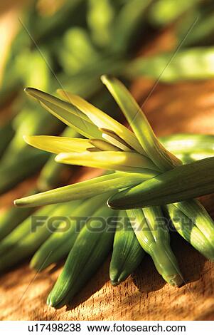 Stock Photo - Healthy Eating, Close-Up, Fresh, Food And Drink, Still Life. Fotosearch