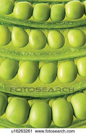 Stock Image - Healthy Eating, Freshness, Food, Eatable, Group Of Objects, Vegetables. Fotosearch