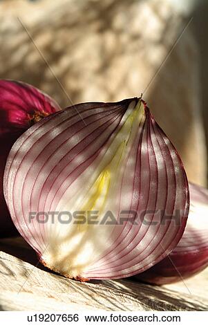Stock Photograph - Healthy Eating, Outdoor, Onion, Sunlight, Day. Fotosearch