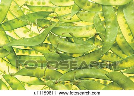 Indoor, Still Life, Peas, Food, Freshness, Green, Edible View Large Photo Image Stock Image - Indoor, Still Life, Peas, Food, Freshness, Green, Edible. Fotosearch
