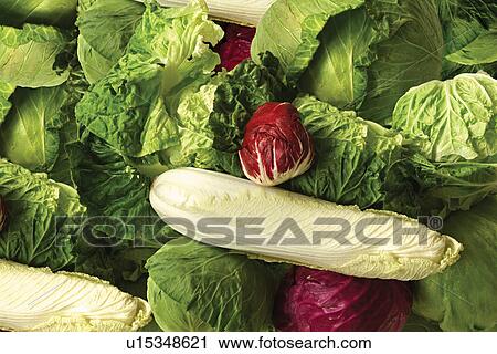 Stock Image - Red, Red Cabbage, Group Of Objects, Close-Up, Eatable, Indoor. Fotosearch