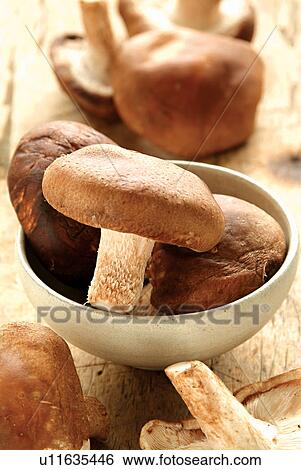 Stock Photograph - Still Life, Close-Up, Bowl, Indoor, Healthy Eating. Fotosearch