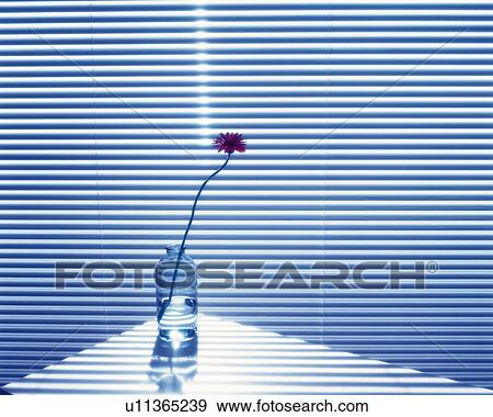 Stock Photo - Bud Vase that is on the Table by the Blind, Copy Space,. Fotosearch