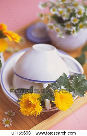 Close Up Image of Tea Cup and Flower on the Tray, Differential Focus View Large Photo Image Stock Image - Close Up Image of Tea Cup and Flower on the Tray, Differential Focus. Fotosearch