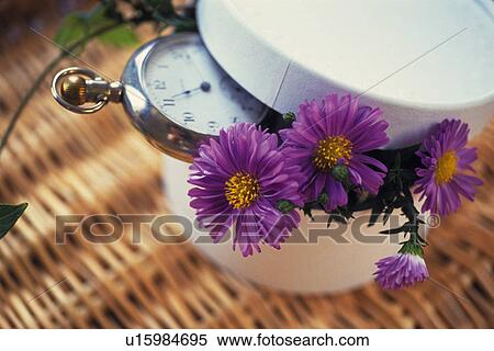 Stock Photography - Flower and Pocket Watch in the Box, High Angle View, Differential Focus. Fotosearch