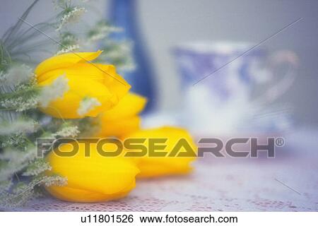 Flower and Tea Cup, Side View, Close Up, Defocus, Full Frame View Large Photo Image Stock Photograph - Flower and Tea Cup, Side View, Close Up, Defocus, Full Frame. Fotosearch