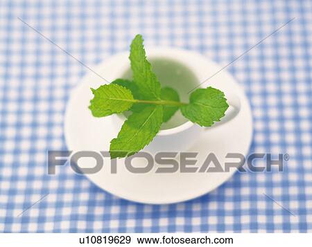Stock Photo - Herb and Tea Cup, High Angle View, Differential Focus. Fotosearch