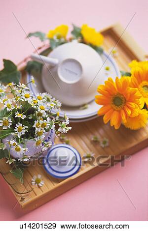 Stock Photo - Tea Cup and Flower on the Tray, High Angle View, Differential Focus. Fotosearch
