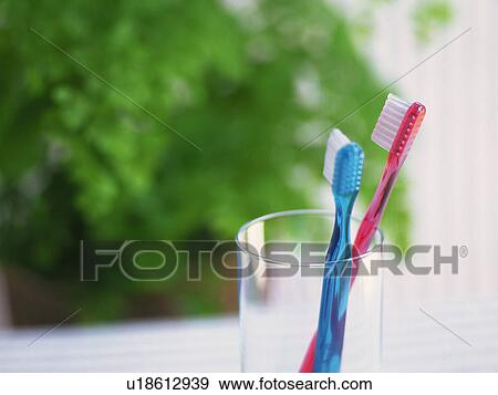 Two Toothbrushes in the Glass, Differential Focus View Large Photo Image Stock Photo - Two Toothbrushes in the Glass, Differential Focus. Fotosearch