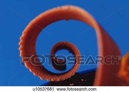 Stock Image - Chocolate Ice Cream, Close Up. Fotosearch