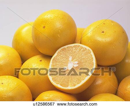 Grapefruit, Close Up View Large Photo Image Stock Photo - Grapefruit, Close Up. Fotosearch