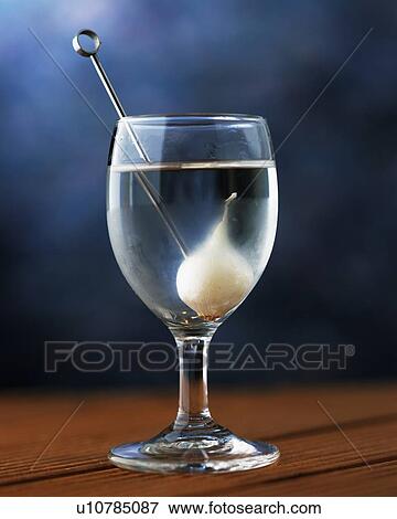 Cocktail, Gibson, Front View, Differential Focus View Large Photo Image Stock Photo - Cocktail, Gibson, Front View, Differential Focus. Fotosearch