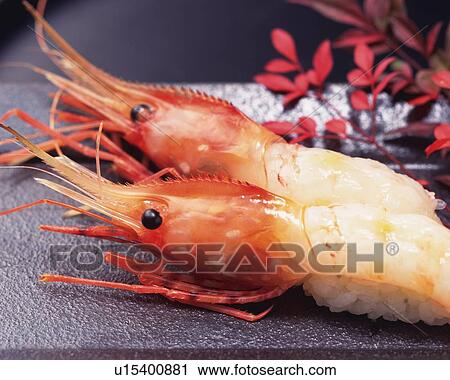 Stock Image - Botan Ebi, hand-shaped sushi. Fotosearch