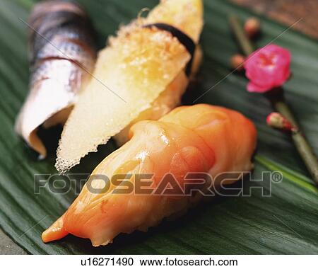Kazunoko, Kohada, Akagai, hand-shaped sushi View Large Photo Image Stock Image - Kazunoko, Kohada, Akagai, hand-shaped sushi. Fotosearch