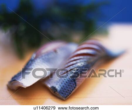 Kohada, hand shaped sushi View Large Photo Image Stock Photo - Kohada, hand shaped sushi . Fotosearch
