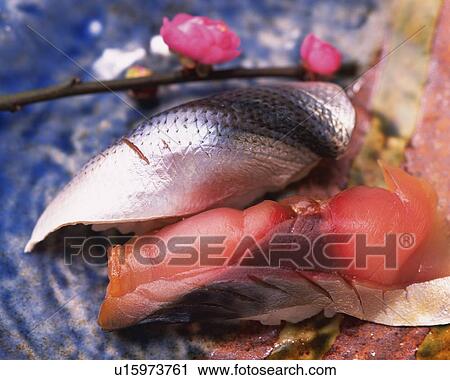 Stock Image - Saba and Kohada hand-shaped sushi . Fotosearch
