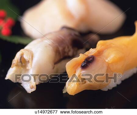 Torigai, Aoyagi, hand-shaped sushi View Large Photo Image Stock Photo - Torigai, Aoyagi, hand-shaped sushi. Fotosearch
