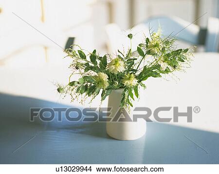 Several Flowers in a Little White Vase, High Angle View View Large Photo Image Picture - Several Flowers in a Little White Vase, High Angle View. Fotosearch