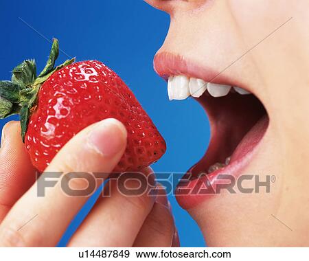 A Woman Eating a Strawberry, Side View, Close Up View Large Photo Image Stock Photo - A Woman Eating a Strawberry, Side View, Close Up. Fotosearch