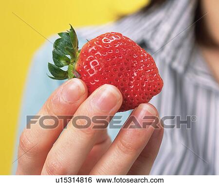 Stock Photograph - A Woman Holding a Strawberry, Close Up. Fotosearch