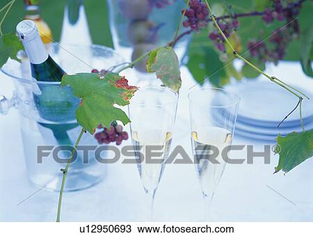 Champagne and Grapes View Large Photo Image Stock Image - Champagne and Grapes. Fotosearch
