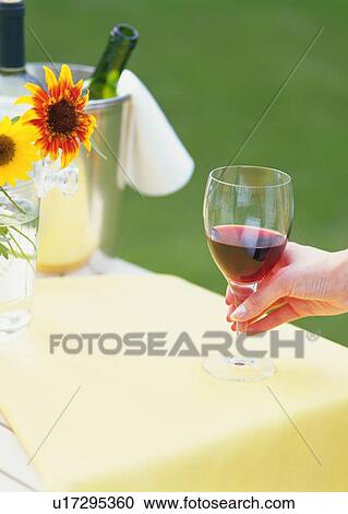 Stock Image - Garden Party. Fotosearch