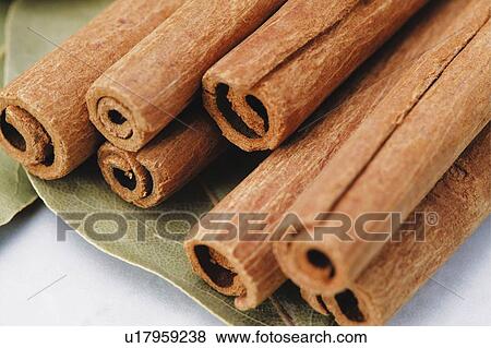 Cinnamon View Large Photo Image Stock Photo - Cinnamon. Fotosearch