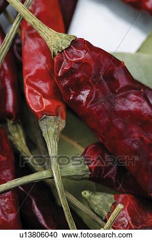 Red Pepper View Large Photo Image Stock Image - Red Pepper. Fotosearch