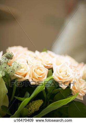 Stock Photo - Bouquet. Fotosearch