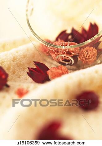 Dried Flower in a Cup View Large Photo Image Stock Photo - Dried Flower in a Cup. Fotosearch