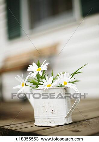 Stock Image - Flower in a Vase. Fotosearch