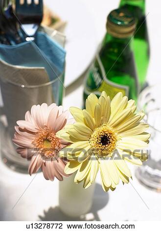 Flower View Large Photo Image Stock Image - Flower. Fotosearch
