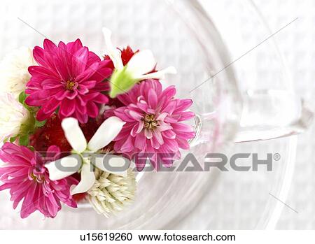 Flower View Large Photo Image Stock Image - Flower. Fotosearch