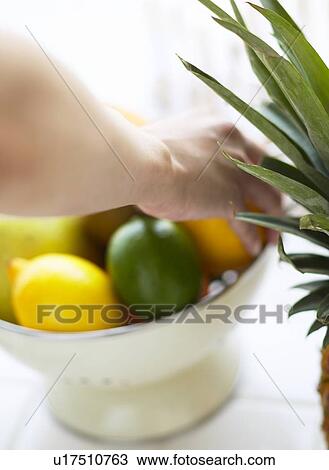 Lemon and Lime View Large Photo Image Stock Image - Lemon and Lime. Fotosearch