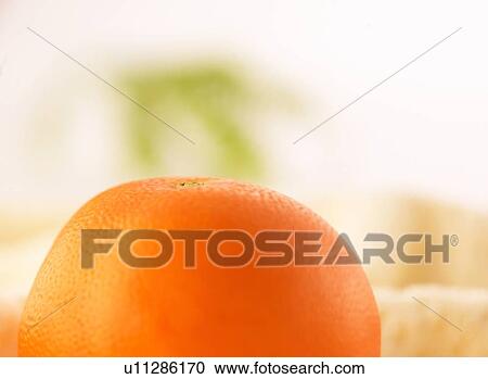 Orange View Large Photo Image Stock Image - Orange. Fotosearch