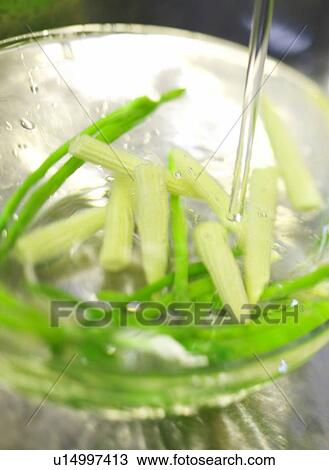 Stock Image - Washing a Vegitable. Fotosearch