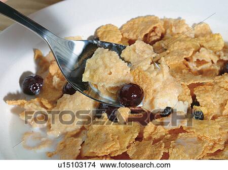 Picture - Close-Up, Indoor. Fotosearch