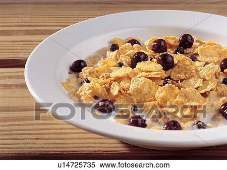 Stock Photography - Day, Indoor, One Object. Fotosearch
